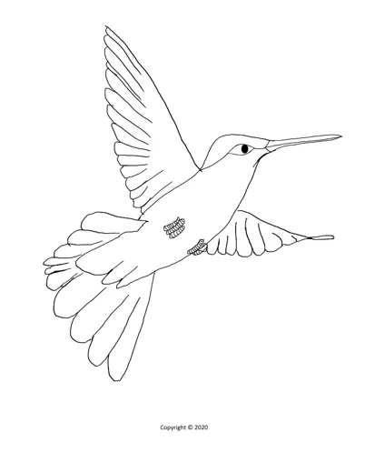 Preview of the Harriet the Hummingbird colouring page