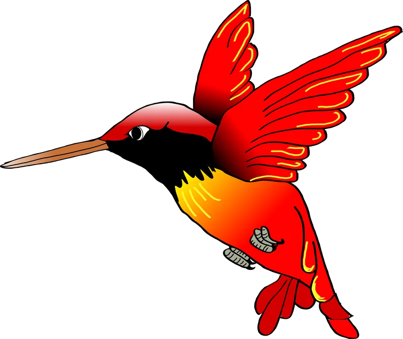 Harriet, a red and yellow hummingbird with a long thin beak, in flight.
