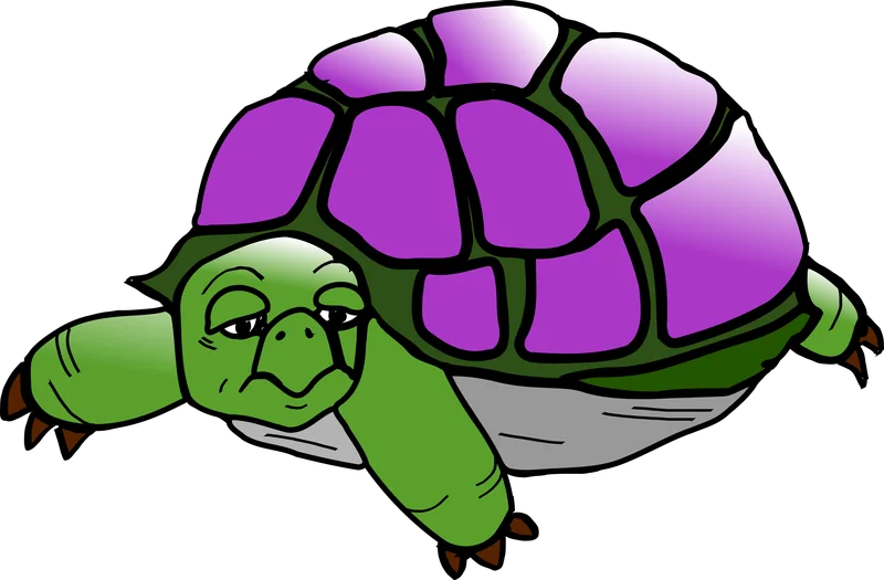 Thomas, a wise old green tortoise with a purple shell.
